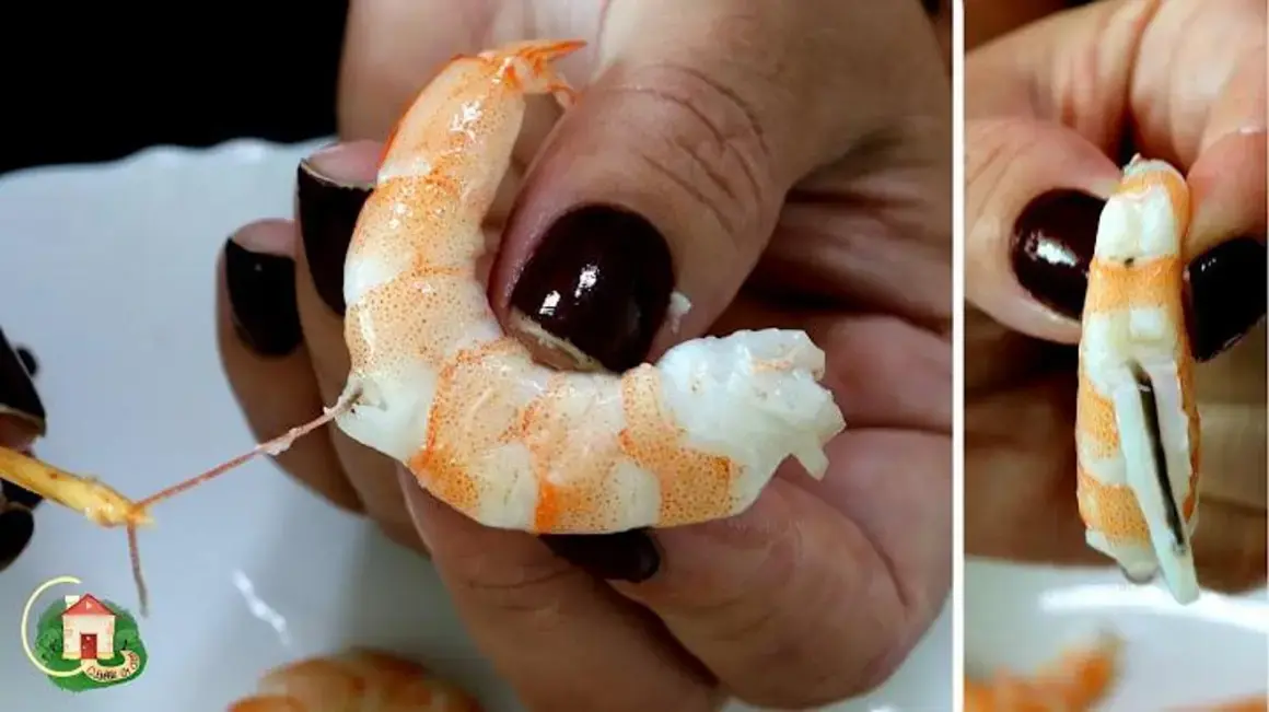Receita de Camarão: Descubra O Que Saim De Dentro Destes Deliciosos Frutos Do Mar
