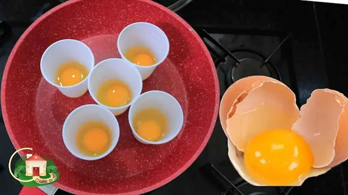 Receita de Ovo: Deliciosas Maneiras de Preparar Ovos para Todas as Ocasiões
